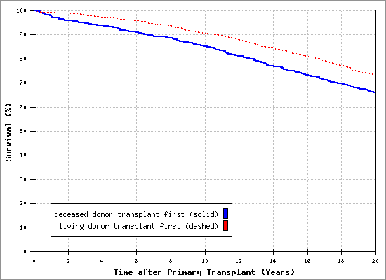 Plot Image